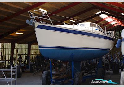 Hallberg-Rassy Hallberg-Rassy 342 Sailingboat 2006, with Volvo-Penta engine, Denmark