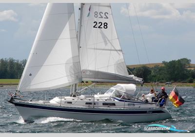 Hallberg-rassy HR 31 Scandinavia Sailingboat 2001, with Volvo Penta engine, Germany