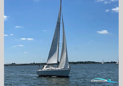 Hanse 311 Sailingboat 2003, Germany