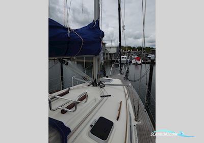 Hanse 311 Sailingboat 2002, with Volvo Penta MD 2020 engine, Germany