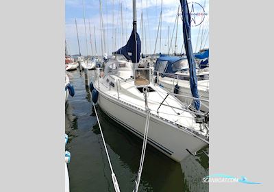 Hanse Yachts AG Hanse 300 Sailingboat 2003, with Volvo Penta MD2010 D - BT engine, Germany