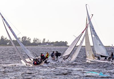 International 806 Sailingboat 1986, with Mercury/Mariner engine, Denmark