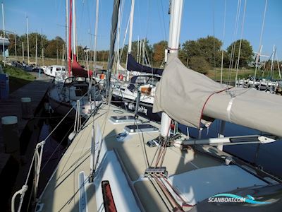 Kalik 30 Sailingboat 1983, with 2QM15 engine, The Netherlands