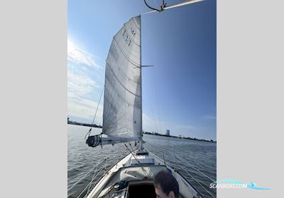 Königskreuzer 33 Sailingboat 1975, with 15 PS/ 11KW_Volvo Penta MD20230 (Neu 2010) engine, Germany
