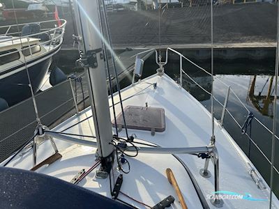 LM 22 Sailingboat 1988, The Netherlands