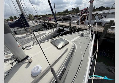 LM 32 Sailingboat 1984, with Bukh DV36 engine, Denmark