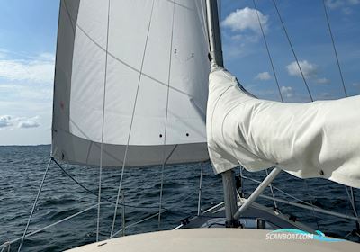 LM 81 Sailingboat 1983, with Bukh DV 20 engine, Denmark