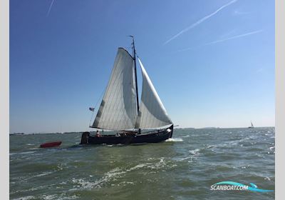 Lemmeraak Visserman Sailingboat 1983, with Daf engine, The Netherlands