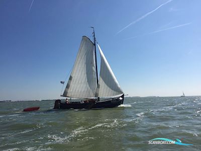 Lemmeraak Visserman Sailingboat 1983, with Daf engine, The Netherlands