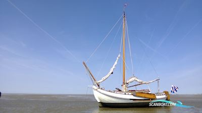 Lemsteraak Blom Roefmodel Anna Sailingboat 1970, with Nanni engine, The Netherlands