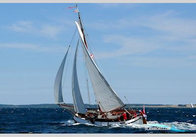 Lemsteraak De Wulp - Roefuitvoering Sailingboat 1912, with Daf engine, The Netherlands