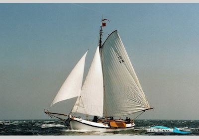 Lemsteraak De Wulp - Roefuitvoering Sailingboat 1912, with Daf engine, The Netherlands