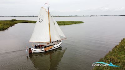Lemsteraak Dorothee - Roefuitvoering Sailingboat 2005, with Volvo engine, The Netherlands