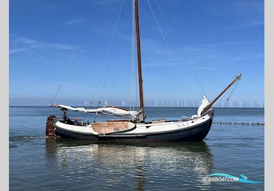 Lemsteraak HA2 - Vissermanaak Sailingboat 2005, with VW Marine engine, The Netherlands