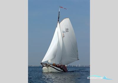 Lemsteraak Halley - Roefuitvoering Sailingboat 1919, with Ford Lehman engine, The Netherlands