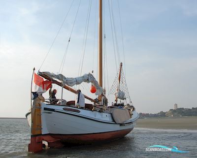 Lemsteraak Luye Man - Jachtuitvoering Sailingboat 1988, with Steyr engine, The Netherlands