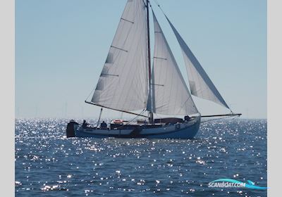 Lemsteraak Roefmodel 1010 - Dolfijn Sailingboat 1990, with Lister Petter engine, The Netherlands