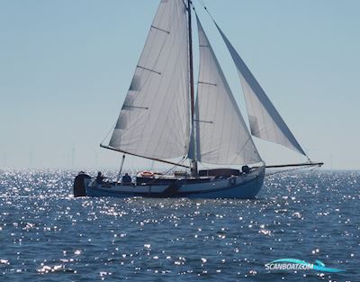 Lemsteraak Roefmodel 1010 - Dolfijn Sailingboat 1990, with Lister Petter engine, The Netherlands