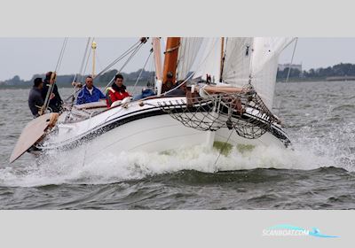 Lemsteraak Visotter - Roefuitvoering Sailingboat 1991, with Steyr engine, The Netherlands
