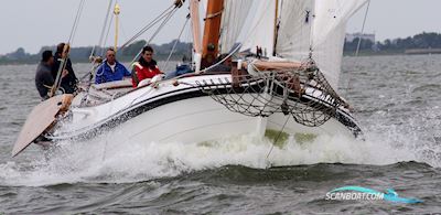 Lemsteraak Visotter - Roefuitvoering Sailingboat 1991, with Steyr engine, The Netherlands