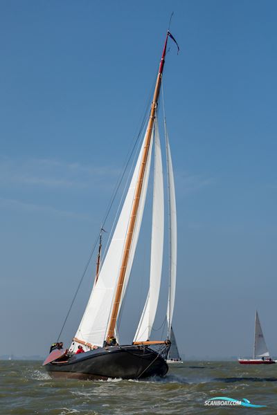 Lemsteraak Warber VA210 - Visserman Uitvoering Sailingboat 2010, with Steyr  engine, The Netherlands