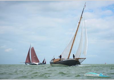 Lemsteraak Witte Eend - Roefuitvoering Hoek Design Sailingboat 1996, with Iveco  engine, The Netherlands