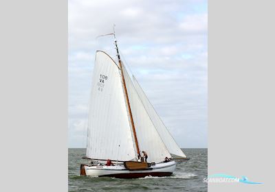 Lemsteraak Zilveren Zwaan - Hoek Design Roefuitvoering Sailingboat 1990, with Steyr engine, The Netherlands