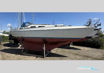 Marieholm 261 Sailingboat 1984, with Volvo engine, The Netherlands