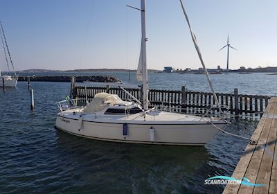 Maxi Magic Sailingboat 1984, Germany