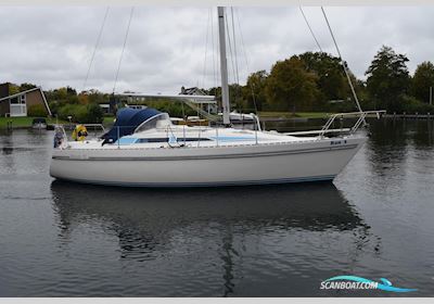 Moody 31 MKII Sailingboat 1987, with Volvo Penta 2003 engine, The Netherlands
