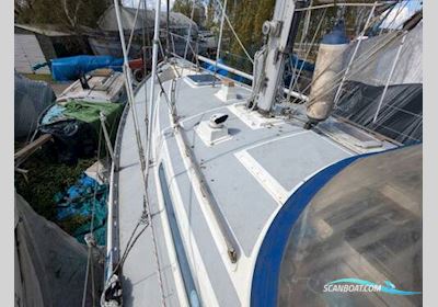 Moody 36 Sailingboat 1981, with Thorney Croft engine, United Kingdom