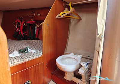 Olsen 31 Sailingboat 1984, with Yanmar 2GM engine, Denmark