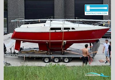Omega 750 Sailingboat 2024, Belgium