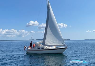 Polaris Drabant 26 Sailingboat 1979, with Volvo Penta engine, Denmark