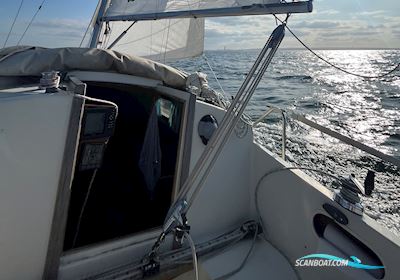 Polaris Drabant 26 Sailingboat 1979, with Volvo Penta engine, Denmark