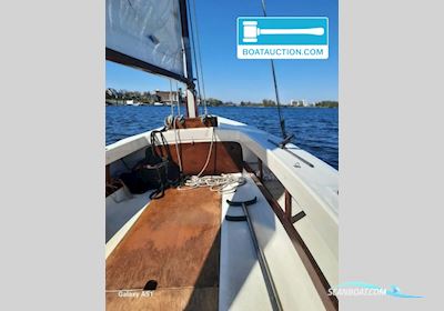 Polyvalk 700 Sailingboat 2024, with Mercury engine, The Netherlands