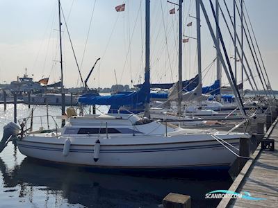 Robertson&Caine Holiday 23 Sailingboat 1990, with Honda BF8 engine, Germany