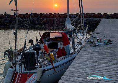 Runn 37 Sailingboat 1984, with Bukh engine, Denmark
