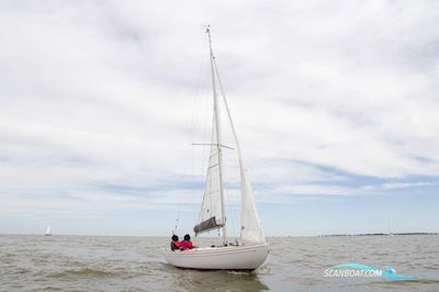 Saffier Sc 6.50 Sailingboat 2019, with Torqeedo engine, The Netherlands