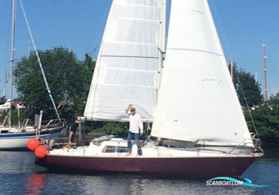 Scampi 30 Mk3 Sailingboat 1973, with Kubota 3 Zyl. D 722 engine, Germany
