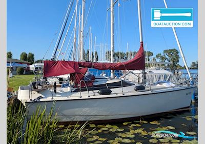 Shanta 900 KS Sailingboat 1991, Germany