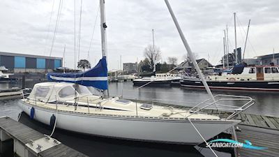 Sirena 38 Sailingboat 1984, with Bukh engine, The Netherlands