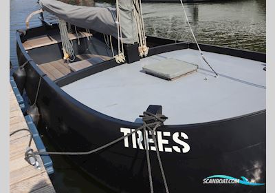 Staverse Jol Visserman Sailingboat 2010, The Netherlands
