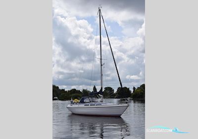Storebro 33 Royal Sailingboat 1979, with Volvo Penta MD 17 C engine, The Netherlands