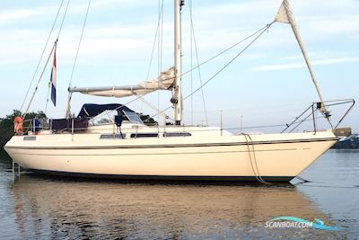 Storebro Royal 33 Sailingboat 1981, with Volvo Penta engine, The Netherlands