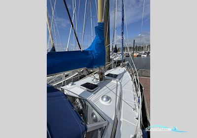 Targa Yachts Finnland Targa 9,60 Sailingboat 1978, with Yanmar 3YM30 AE engine, Germany