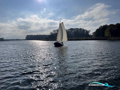 Tjotter 500 Sailingboat 2025, with Elektroprop engine, The Netherlands