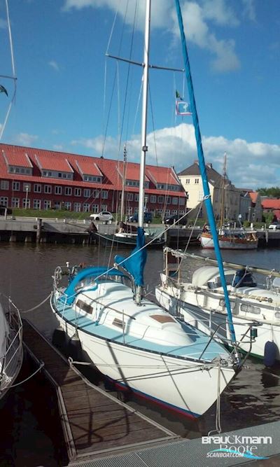 Trapper Yachts Ltd. (UK) Trapper Yachts Ltd. (UK) Trapper 500 Sailingboat 1980, with Yanmar Diesel engine, Germany