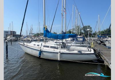 Van Der Stadt Pioneer Sailingboat 1976, The Netherlands