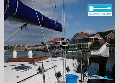 Van de Stadt Forna 37 Sailingboat 2021, with Vetus engine, The Netherlands